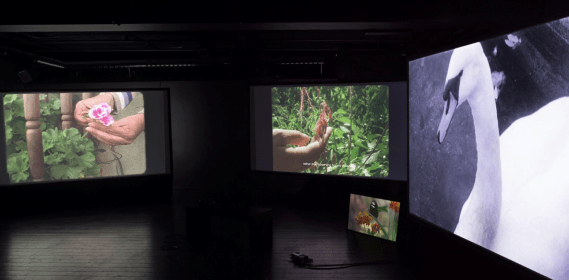 La Biennal d’Art Ciutat d’Amposta (BIAM) es consolida com a gran aparador de l’art contemporani