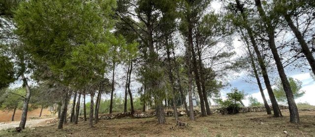 La Brigada EMERGE inicia a Càlig les feines de neteja i desbrossament del terme municipal