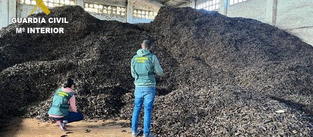 La Guardia Civil de Castellón detiene en dos operaciones a dos personas por el hurto de más de 37 toneladas de algarroba