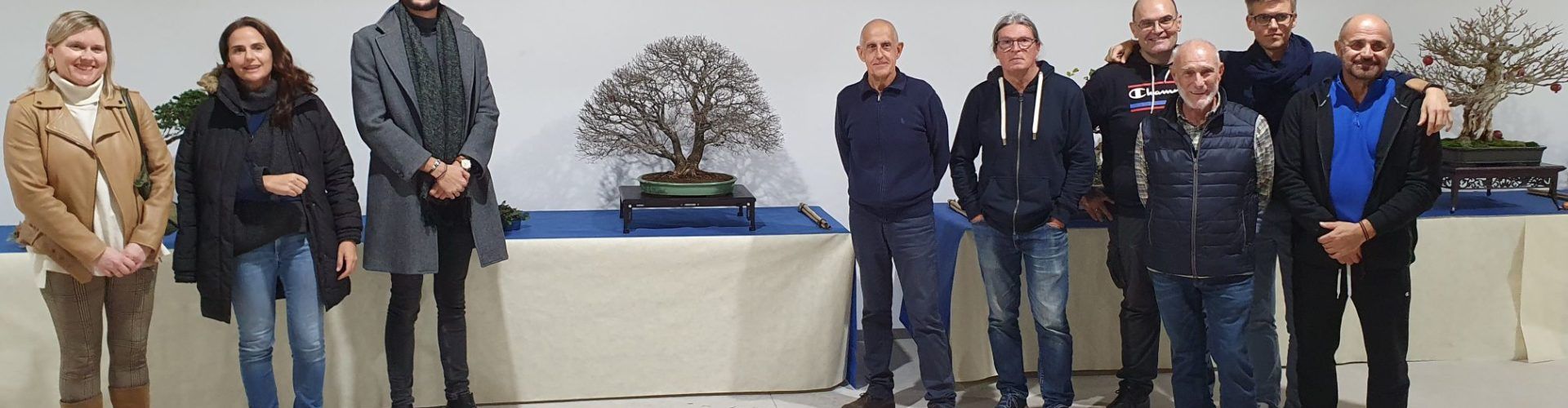 Exposició Art bonsai i pedres suiseki a la Cotxera de Batet