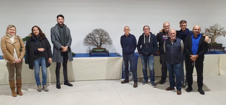 Exposició Art bonsai i pedres suiseki a la Cotxera de Batet