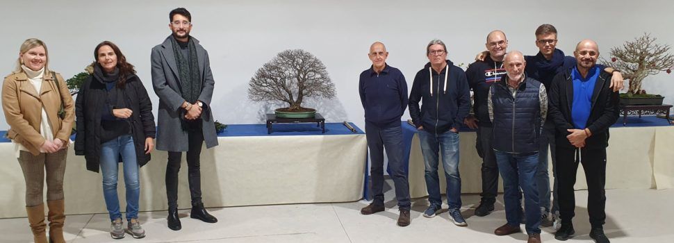 Exposició Art bonsai i pedres suiseki a la Cotxera de Batet
