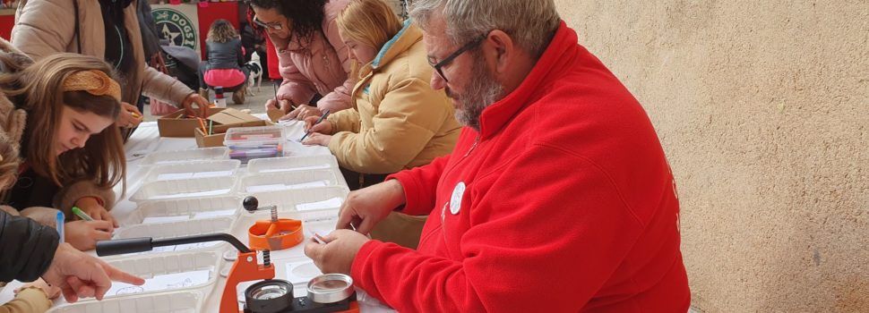 Tallers per Nadal dels Nanos i Gegants de Vinaròs