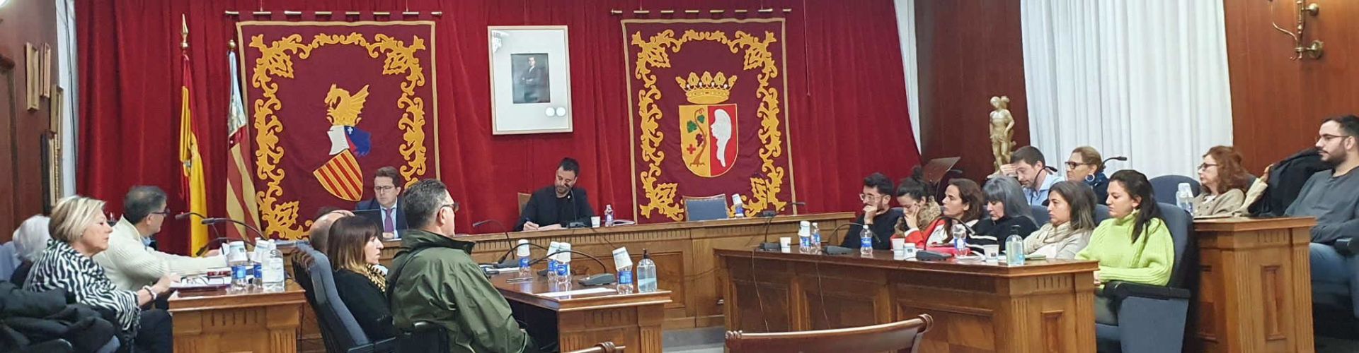 Vídeos del plenari sobre la passarel·la del Cervol