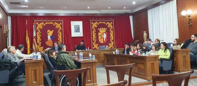 Vídeos del plenari sobre la passarel·la del Cervol
