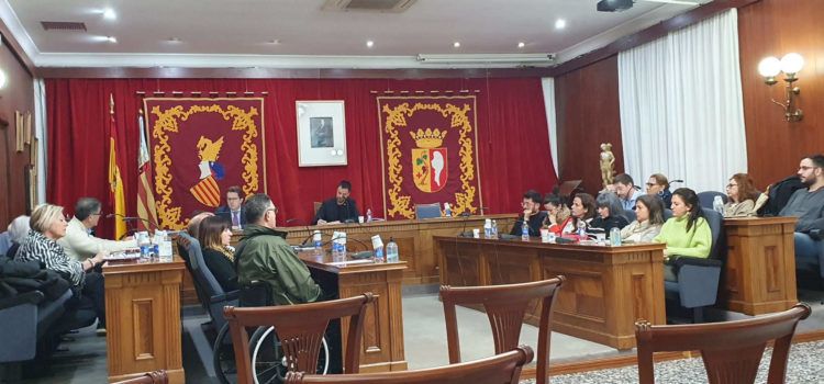 Vídeos del plenari sobre la passarel·la del Cervol