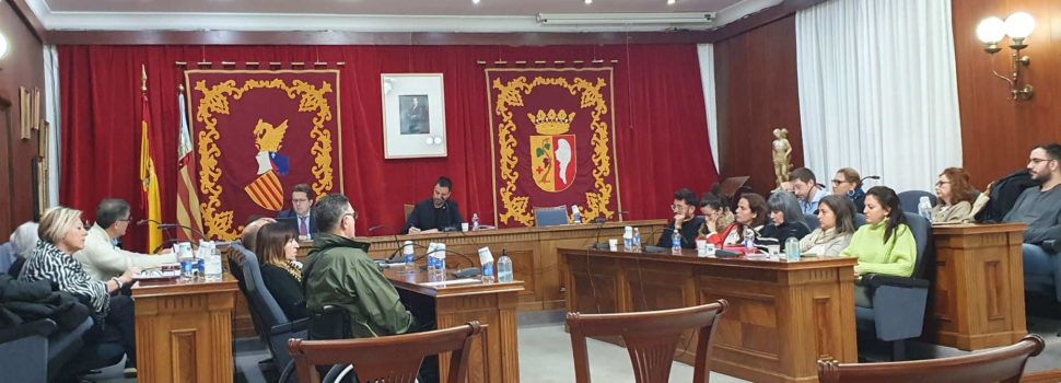 Vídeos del plenari sobre la passarel·la del Cervol