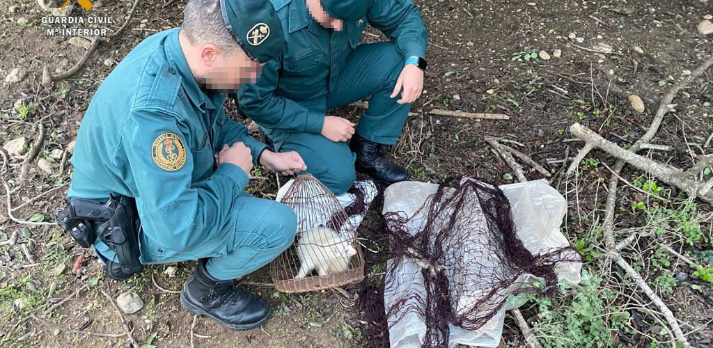 El SEPRONA sorprendre a dos cazadores furtivos en Aldover