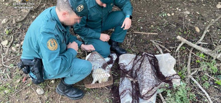 El SEPRONA sorprendre a dos cazadores furtivos en Aldover