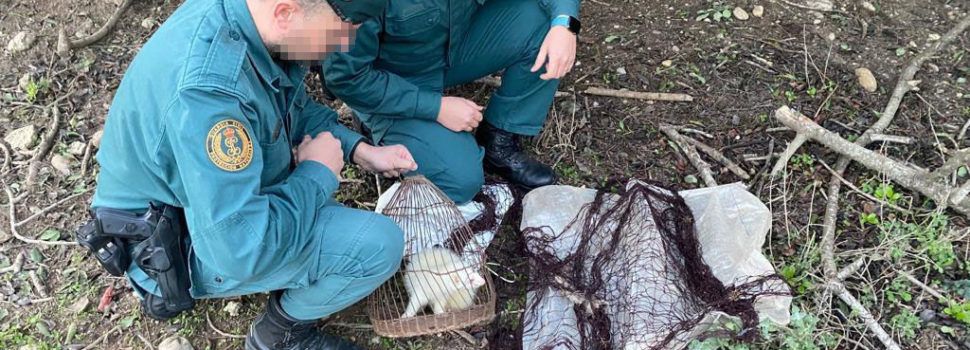 El SEPRONA sorprendre a dos cazadores furtivos en Aldover
