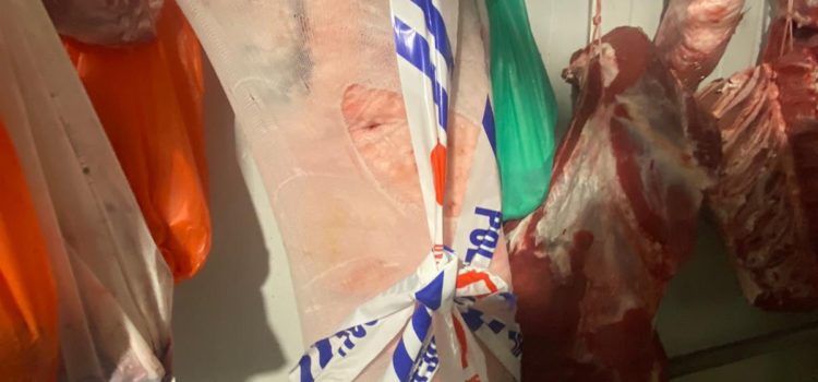Denunciat a Vinaròs per transportar aliments sense garanties sanitàries