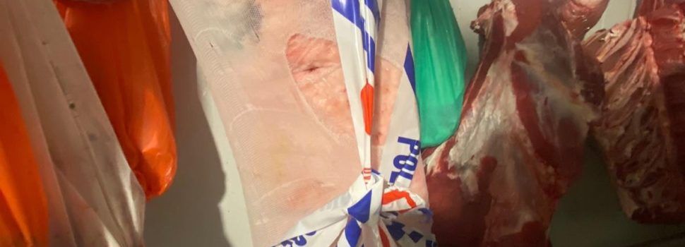 Denunciat a Vinaròs per transportar aliments sense garanties sanitàries