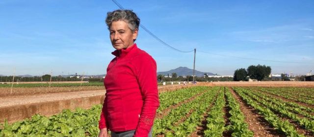 Vicenta Calvet serà la persona homenatjada en la XXX Festa de la Carxofa