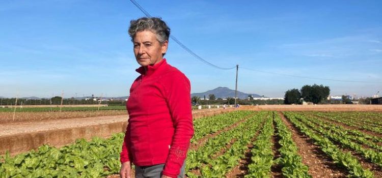 Vicenta Calvet serà la persona homenatjada en la XXX Festa de la Carxofa