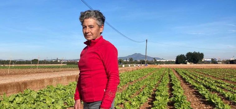 Vicenta Calvet serà la persona homenatjada en la XXX Festa de la Carxofa