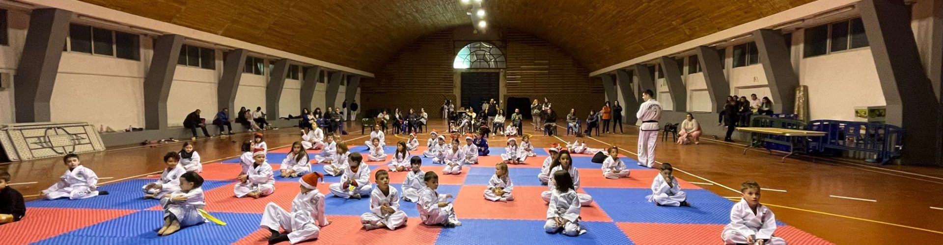 Taekwon-Do Albocàsser acomiada a l’any amb una trobada amb altres escoles