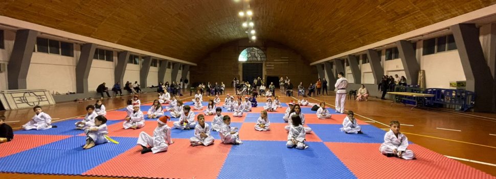 Taekwon-Do Albocàsser acomiada a l’any amb una trobada amb altres escoles