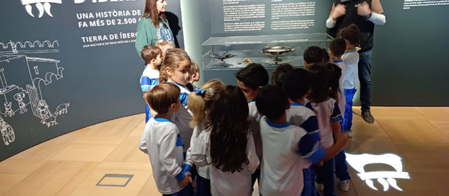 La cílix i el tresoret reben a Benicarló 3.317 visitants dins de l’exposició «Terra d’ibers»