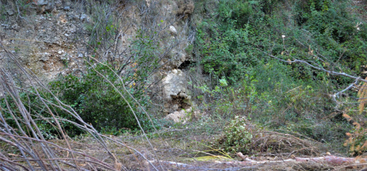 Vinaròs Mail, 1-1-23