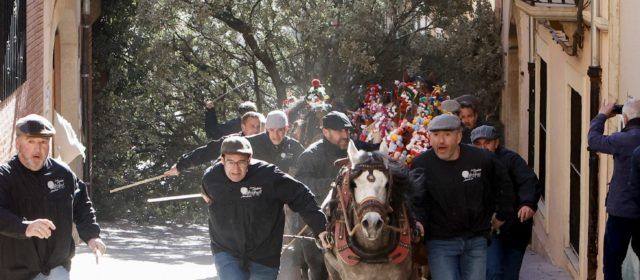 Albocàsser vibra amb les ‘Rossegades’ de Sant Antoni