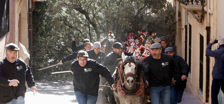 Albocàsser vibra amb les ‘Rossegades’ de Sant Antoni