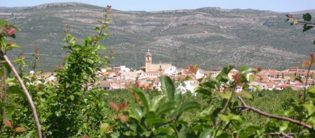 Albocàsser inicia una campanya de foment del comerç local