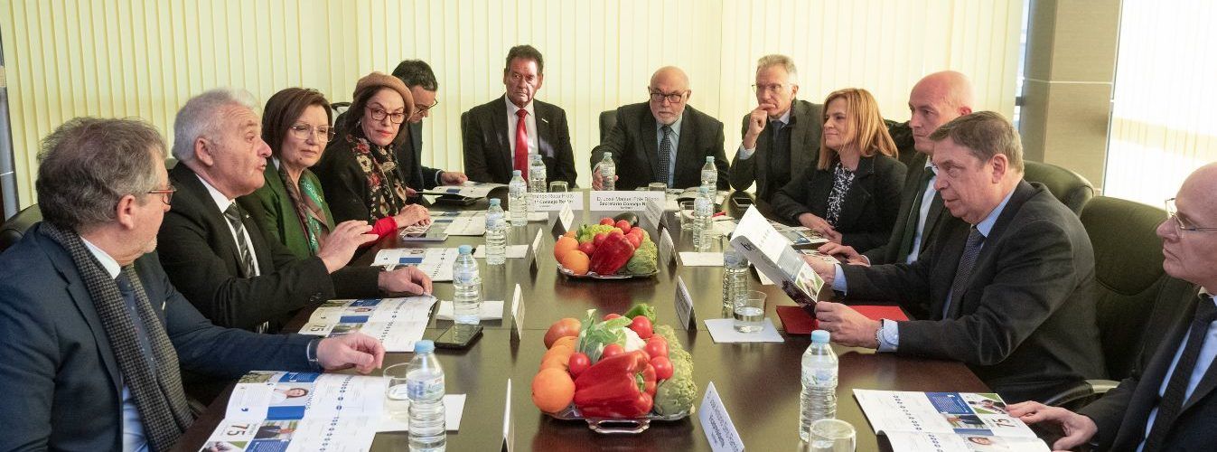 José Martí destaca la importància de la Carxofa de Benicarló i el sector pesquer provincial en ‘Castelló Ruta de Sabor’