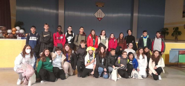 Alumnes de l’IES Leopoldo Querol guanyen a Alcanar la Copa Cangur
