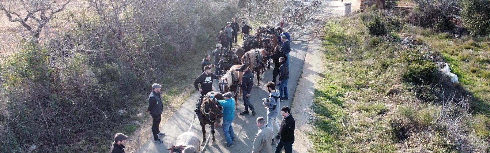Intensa setmana de preparatius de Sant Antoni a Albocàsser