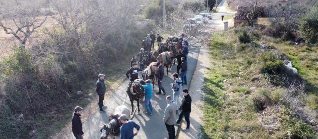 Intensa setmana de preparatius de Sant Antoni a Albocàsser