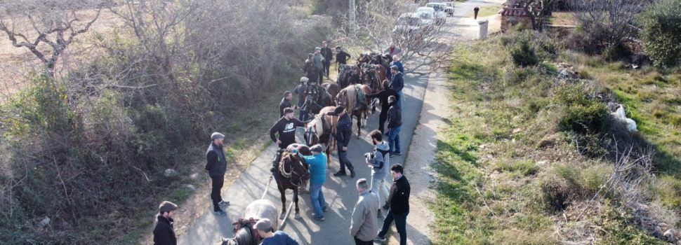 Intensa setmana de preparatius de Sant Antoni a Albocàsser