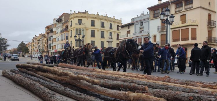 Vilafranca celebra el Dia de les Barres