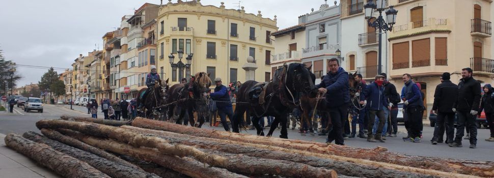 Vilafranca celebra el Dia de les Barres