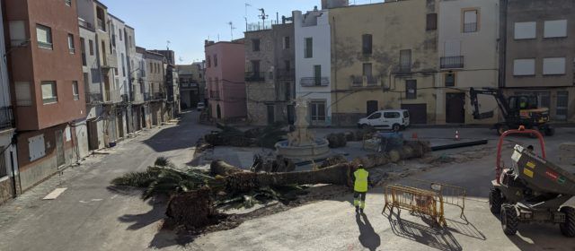 Canet Lo Roig cambia las viejas palmeras de la plaza Nueva por olivos autóctonos
