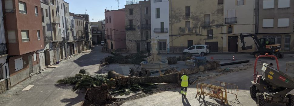 Canet Lo Roig cambia las viejas palmeras de la plaza Nueva por olivos autóctonos