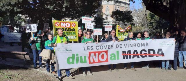 La Consellera Isaura Navarro visita demà els terrenys afectats pel Magda a les Covesde Vinromà