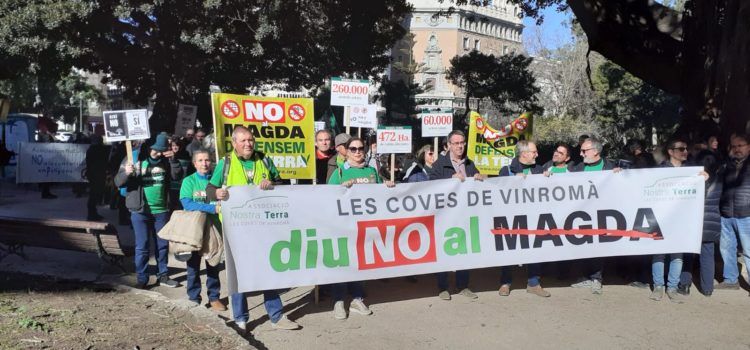 La Consellera Isaura Navarro visita demà els terrenys afectats pel Magda a les Covesde Vinromà