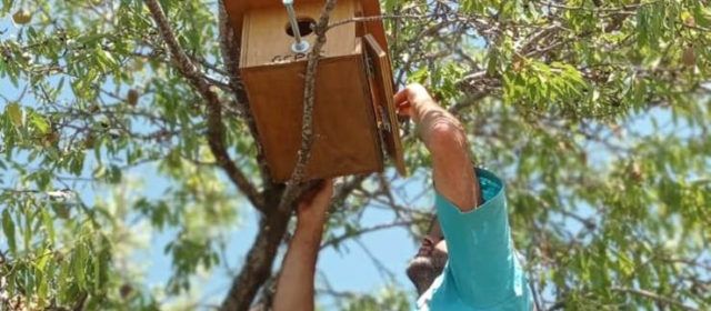 El GEPEC-EdC instal·la més de 200 refugis per fauna durant el 2022