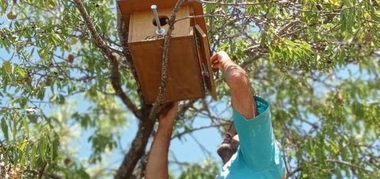 El GEPEC-EdC instal·la més de 200 refugis per fauna durant el 2022
