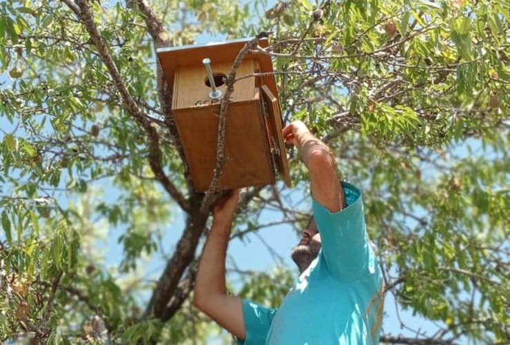El GEPEC-EdC instal·la més de 200 refugis per fauna durant el 2022
