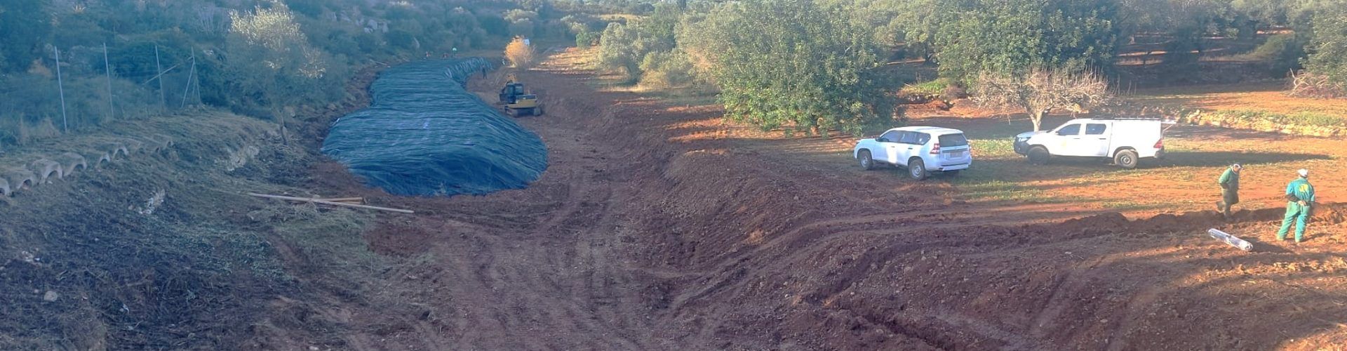 La Confederació Hidrogràfica del Xúquer realitza tasques de restauració fluvial a Càlig