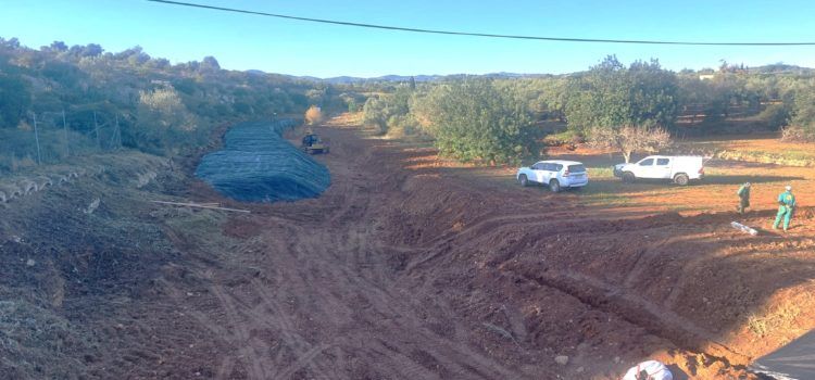 La Confederació Hidrogràfica del Xúquer realitza tasques de restauració fluvial a Càlig
