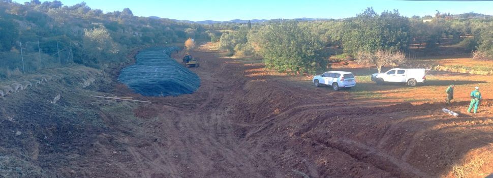 La Confederació Hidrogràfica del Xúquer realitza tasques de restauració fluvial a Càlig