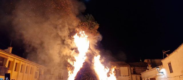 Sant Antoni a Vallibona, en 8 vídeos