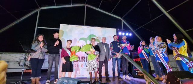 Vídeo i fotos de la festa de la tercera edat del Carnaval de Vinaròs