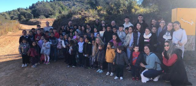 El CEIP Alberto Selma de Santa Magdalena planta exemplars de ‘Micromeria rodriguezii’ espècie única en tota la península ibèrica