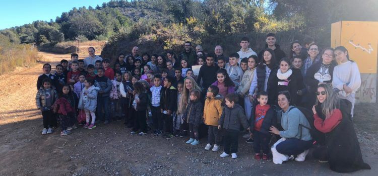 El CEIP Alberto Selma de Santa Magdalena planta exemplars de ‘Micromeria rodriguezii’ espècie única en tota la península ibèrica
