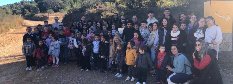 El CEIP Alberto Selma de Santa Magdalena planta exemplars de ‘Micromeria rodriguezii’ espècie única en tota la península ibèrica