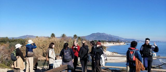 APNAL-Ecologistes en Acció de Vinaròs celebra actividades en la desembocadura del Sénia y  en la marjal de Peñíscola