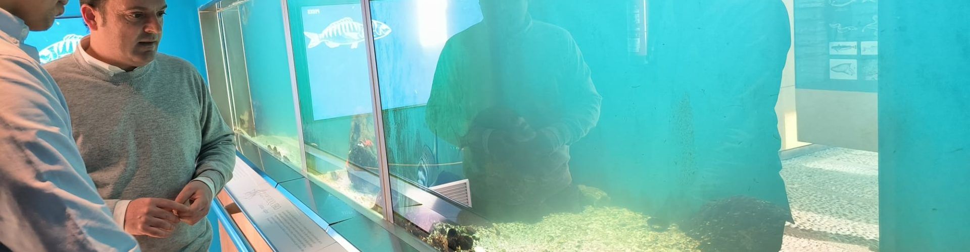 El Museo del Mar de Peñíscola suma más de 63.000 visitantes en 2022 